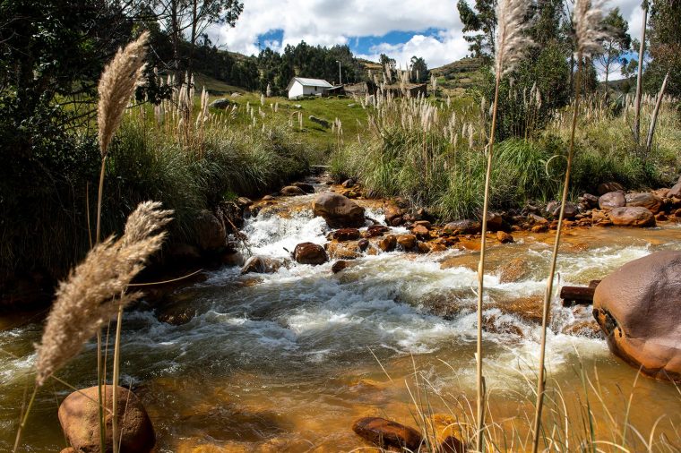 Rio negro, Centro poblado Canrey Chico / El rio negro es particular por que su acidez prácticamente no cambia desde su naciente hasta que llega al Río Santa. Nos referimos a un Ph muy agresivo, que se sitúa entre los 3 y 4 grados brix.